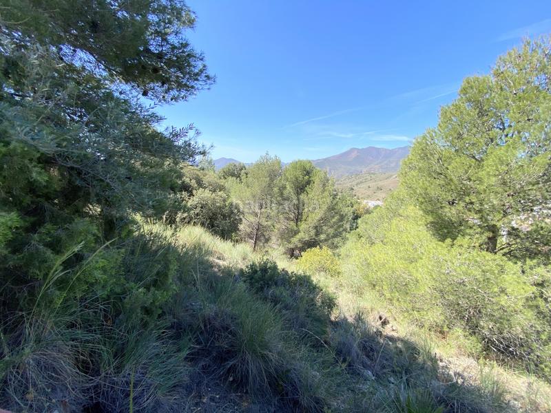 Foto 130d9c0d-1b9d-4a3a-9d57-710bc0b72773. Terrain résidentiel dans Centro Alhaurín el Grande