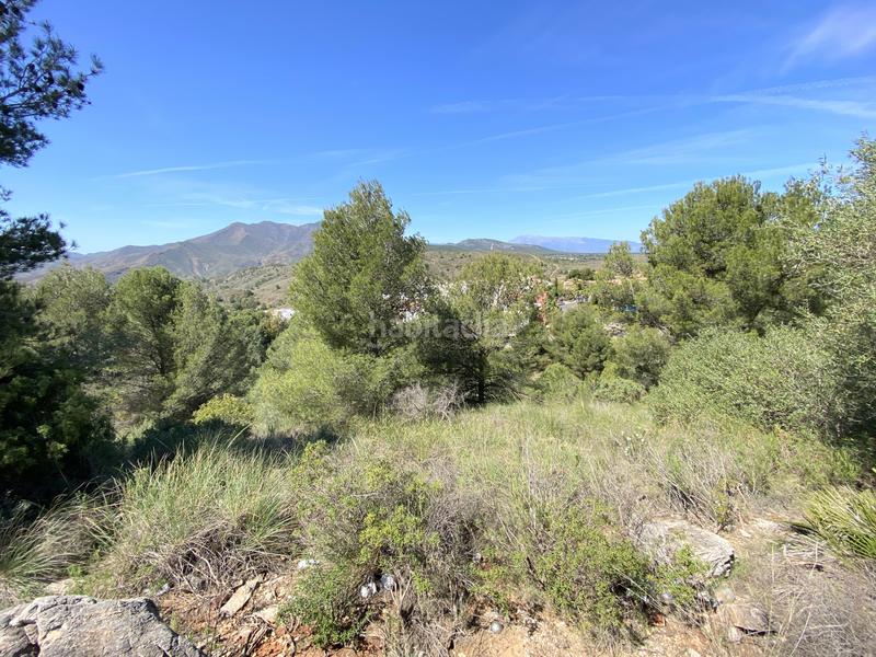 Foto 2508545c-864d-4d70-adb9-33eee8b1330c. Terrain résidentiel dans Centro Alhaurín el Grande