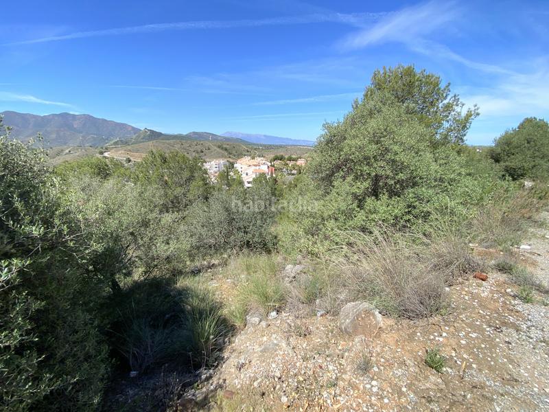 Foto 380776fe-1652-4899-8037-47233d4a9e5d. Terrain résidentiel dans Centro Alhaurín el Grande