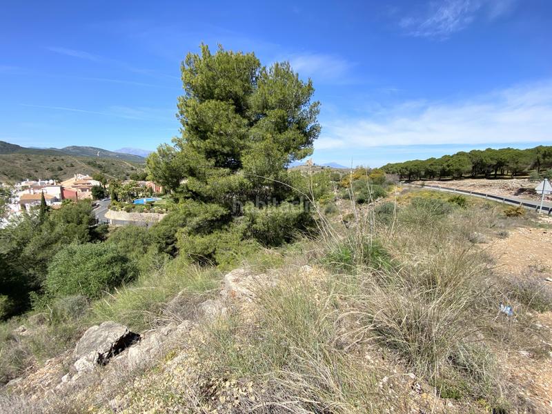 Foto 9a078e38-ee80-4e56-9209-52d620c7a632. Terrain résidentiel dans Centro Alhaurín el Grande