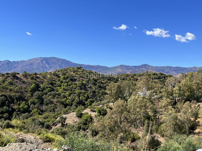 Foto a470fa11-5b0f-468c-8915-9db3fc955a28. Terreny residencial a Villacana - Costalita - Saladillo Estepona