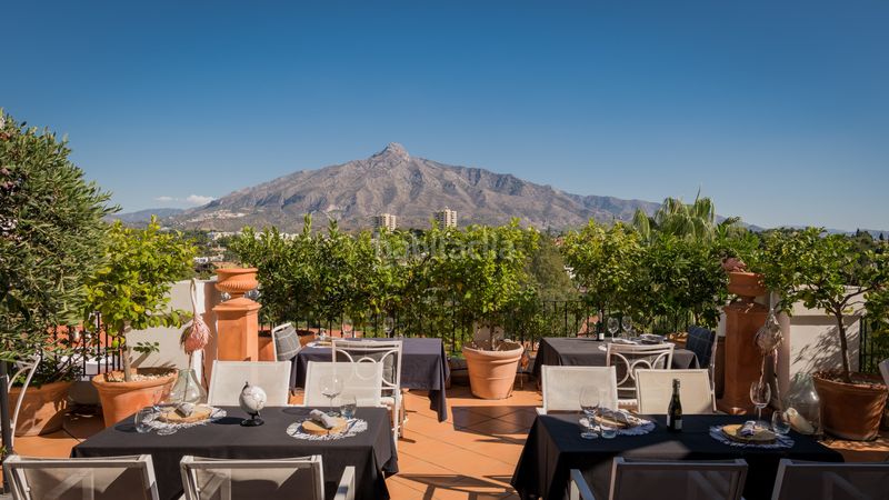 Foto 5e3a22b1-099c-4aac-84a4-f861e9fc4296. Àtic amb aparcament piscina a Nueva Andalucía centro Marbella