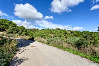 Terreno residenziale in Altos de Estepona. Parcela rústica de 5.000m con vistas al mar y la montaña  los re