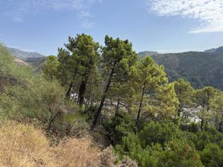 Terrain résidentiel à Benahavís pueblo. Oportunidad única  suelos urbanos no consolidados en benahavís c