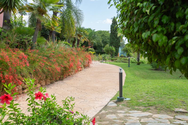 Foto 49707529-9a19-4e4d-870c-30fd79d60745. Àtic amb aparcament piscina a Puente Romano Marbella