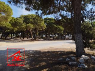 Terreny residencial a Centro. !!no dejes escapar esta oportunidad!!parcela rústica en proindiv
