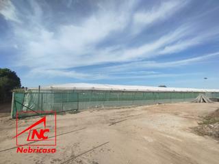 Terreno residenziale in Las Tres Piedras - Costa Ballena. Venta  parcela  15.000 metrosparcela a 300 metros de la playa y