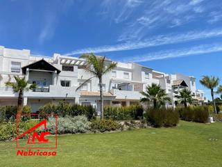 Rent Flat in Las Tres Piedras - Costa Ballena. Alquiler temporada escolar!!aún no has encontrado vivienda para