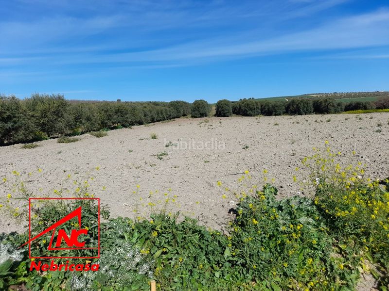 Foto 5a8b5702-571e-4abe-8d21-13a10339605f. Residential plot in Lebrija