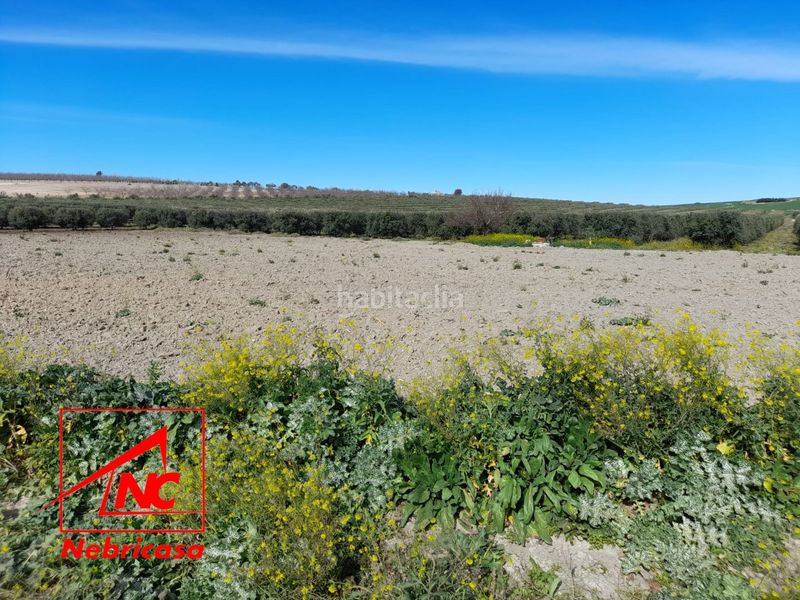 Foto 838550f3-33c1-45c6-8358-edd96cf6ade8. Residential plot in Lebrija