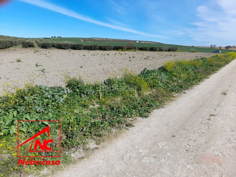 Foto da8fa509-8141-4082-8e77-06db55789dde. Residential plot in Lebrija