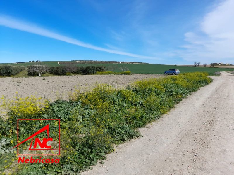 Foto ef670c11-9012-46be-bfaa-a2ad48742d2b. Residential plot in Lebrija
