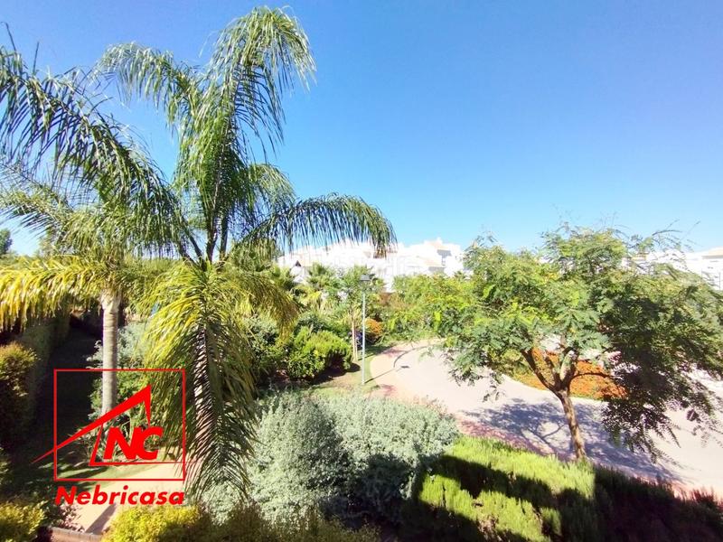 Foto d5804e82-4bf9-48ec-bc0e-2ef89dee7e27. Affitto appartamento con parcheggio piscina in Las Tres Piedras - Costa Ballena Chipiona