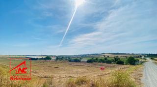 Masia a Cabezas de San Juan (Las). Zona valdeperros. terreno rústico de 12.000 m2 de regadío.  tien