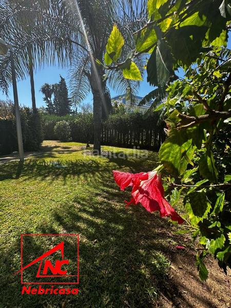 Foto 7d60cec8-0a11-4ad3-aff4-d00a7f6a2150. Affitto appartamento con parcheggio piscina in Costa Ballena - Largo norte Rota