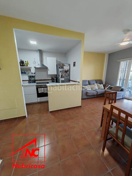 Foto 0338edaa-0b70-4ce8-b580-0d1495bc0bdc. Piso vivienda en planta baja con jardín privado en la exclusiva zona de Martín Miguel .ubicada en un entorno tr en Sanlúcar de Barrameda