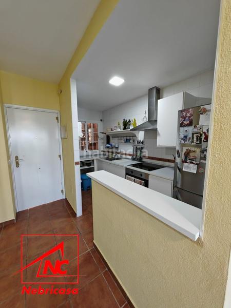 Foto 0789a93c-334b-48f3-9ae8-d781d290671e. Piso vivienda en planta baja con jardín privado en la exclusiva zona de Martín Miguel .ubicada en un entorno tr en Sanlúcar de Barrameda