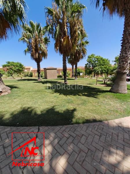 Foto 85040fdb-d474-460a-976c-aabd59286d1e. Piso vivienda en planta baja con jardín privado en la exclusiva zona de Martín Miguel .ubicada en un entorno tr en Sanlúcar de Barrameda