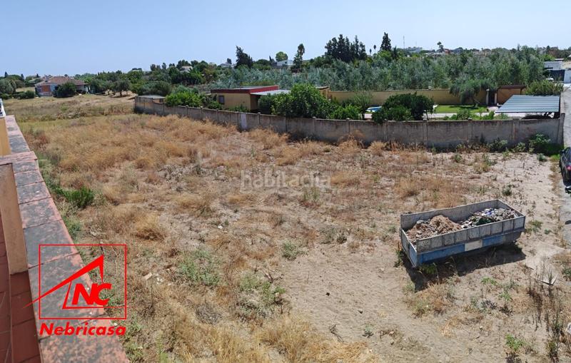 Foto 1ddd45b9-40b3-48e6-bbc1-cac5d372eb46. Casale in La Jara Sanlúcar de Barrameda