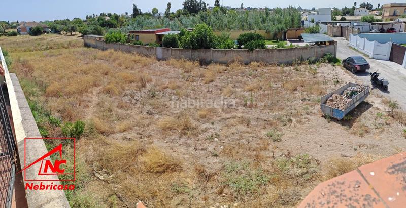 Foto 3151b95e-5067-4a55-8a76-6ae7e46a22ce. Casale in La Jara Sanlúcar de Barrameda