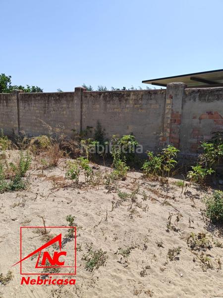 Foto 9fe856c4-60b6-4d5a-b457-b6be4c9b9e27. Casale in La Jara Sanlúcar de Barrameda