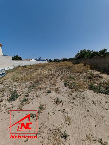 Foto df3fcbd3-1416-47ef-b155-69efc715fa57. Casale in La Jara Sanlúcar de Barrameda