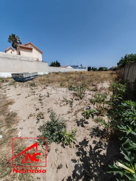 Foto eff967fd-be3c-4b20-aeed-efc484161f60. Casale in La Jara Sanlúcar de Barrameda