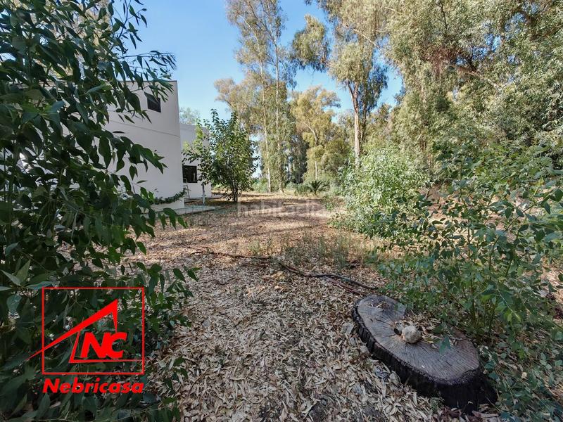 Foto 01f1829e-20ae-48b4-9e66-b4f9ada1c7f9. Casa finca de 4.090 m con vivienda de 200 m rodeada de naturaleza en La Jarase vende amplia finca de 4.090 m con vivienda de 200 m, sit en Sanlúcar de Barrameda