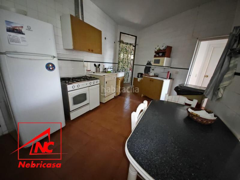 Foto 0d9742e7-6845-47f6-b821-a8c5cc090a85. Casa finca de 4.090 m con vivienda de 200 m rodeada de naturaleza en La Jarase vende amplia finca de 4.090 m con vivienda de 200 m, sit en Sanlúcar de Barrameda