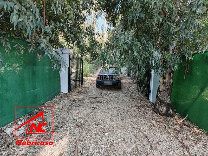 Foto 2a320d2c-5f16-4ed1-8592-adefa718e351. Casa finca de 4.090 m con vivienda de 200 m rodeada de naturaleza en La Jarase vende amplia finca de 4.090 m con vivienda de 200 m, sit en Sanlúcar de Barrameda