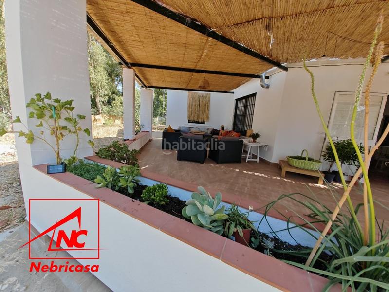 Foto 2c1e0da8-089c-4899-beed-8ca027ab8522. Casa finca de 4.090 m con vivienda de 200 m rodeada de naturaleza en La Jarase vende amplia finca de 4.090 m con vivienda de 200 m, sit en Sanlúcar de Barrameda