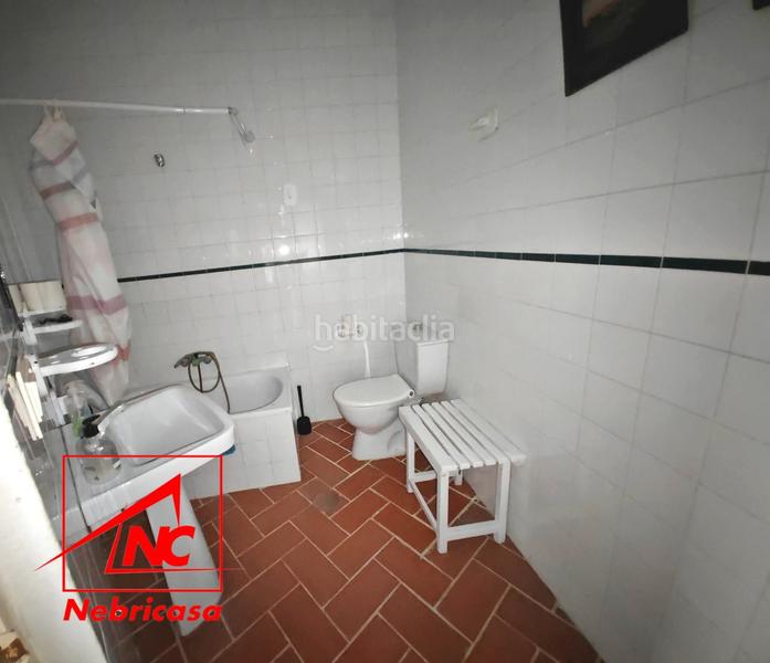 Foto 2eb44cb7-b7bd-4e26-a8c6-e993390037fc. Casa finca de 4.090 m con vivienda de 200 m rodeada de naturaleza en La Jarase vende amplia finca de 4.090 m con vivienda de 200 m, sit en Sanlúcar de Barrameda