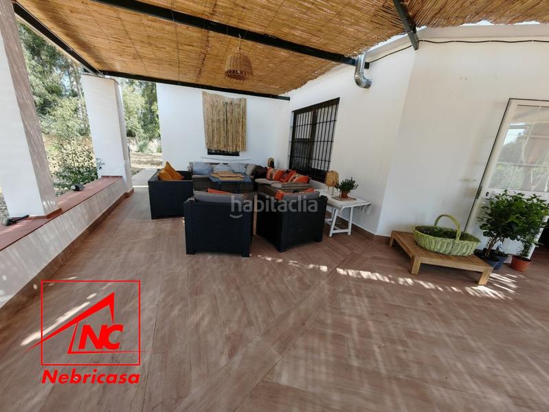 Foto 4fea03eb-915d-4a27-8c39-46cc6fe6483d. Casa finca de 4.090 m con vivienda de 200 m rodeada de naturaleza en La Jarase vende amplia finca de 4.090 m con vivienda de 200 m, sit en Sanlúcar de Barrameda