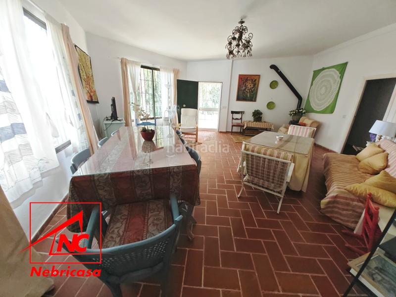 Foto 74acaecb-934b-41c5-8a88-0b27c3a0a34c. Casa finca de 4.090 m con vivienda de 200 m rodeada de naturaleza en La Jarase vende amplia finca de 4.090 m con vivienda de 200 m, sit en Sanlúcar de Barrameda