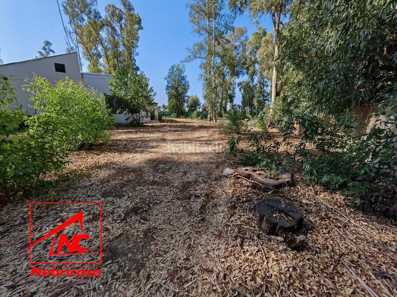 Foto 81686ddf-5160-4a49-afff-4482031238d8. Casa finca de 4.090 m con vivienda de 200 m rodeada de naturaleza en La Jarase vende amplia finca de 4.090 m con vivienda de 200 m, sit en Sanlúcar de Barrameda