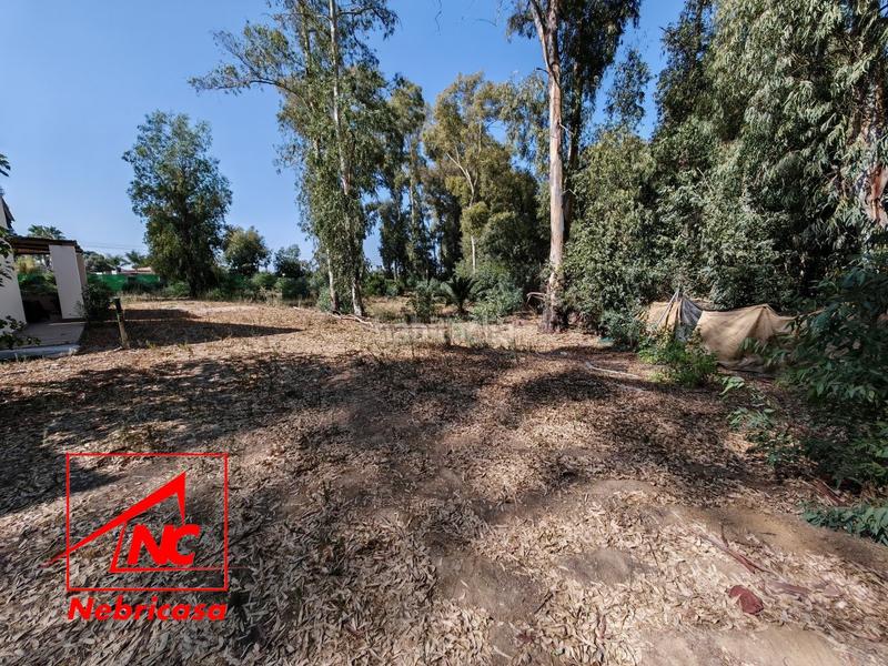 Foto a44799cc-17f1-483b-808f-23a3f3490ce0. Casa finca de 4.090 m con vivienda de 200 m rodeada de naturaleza en La Jarase vende amplia finca de 4.090 m con vivienda de 200 m, sit en Sanlúcar de Barrameda