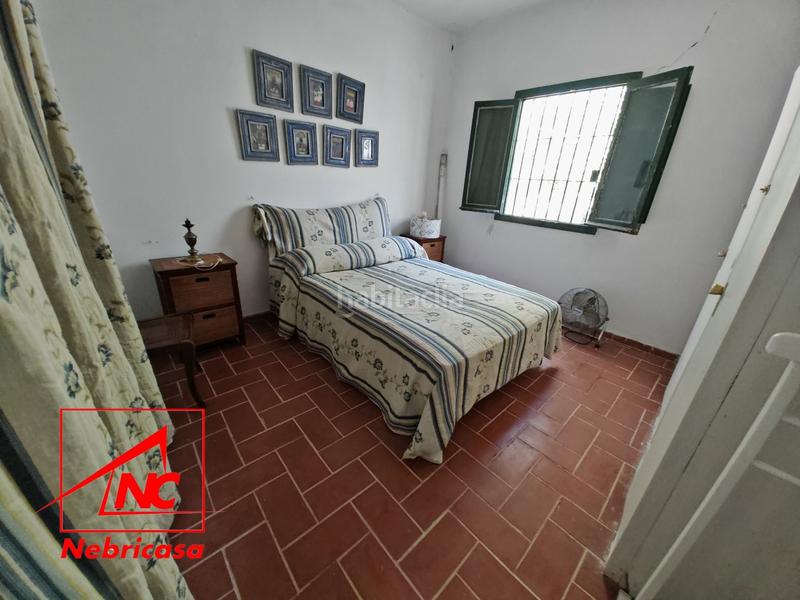 Foto b49545ce-5fdd-4d66-ab3e-ecff89265d58. Casa finca de 4.090 m con vivienda de 200 m rodeada de naturaleza en La Jarase vende amplia finca de 4.090 m con vivienda de 200 m, sit en Sanlúcar de Barrameda
