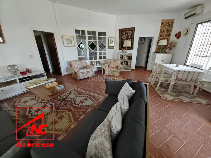 Foto b60b39a1-cf1e-47d2-b591-5ed1799109a9. Casa finca de 4.090 m con vivienda de 200 m rodeada de naturaleza en La Jarase vende amplia finca de 4.090 m con vivienda de 200 m, sit en Sanlúcar de Barrameda