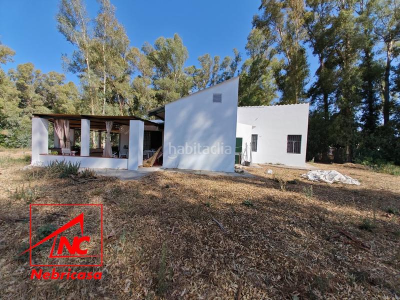 Foto e1213be8-e105-4067-b46b-cae3e7fc0e4d. Casa finca de 4.090 m con vivienda de 200 m rodeada de naturaleza en La Jarase vende amplia finca de 4.090 m con vivienda de 200 m, sit en Sanlúcar de Barrameda