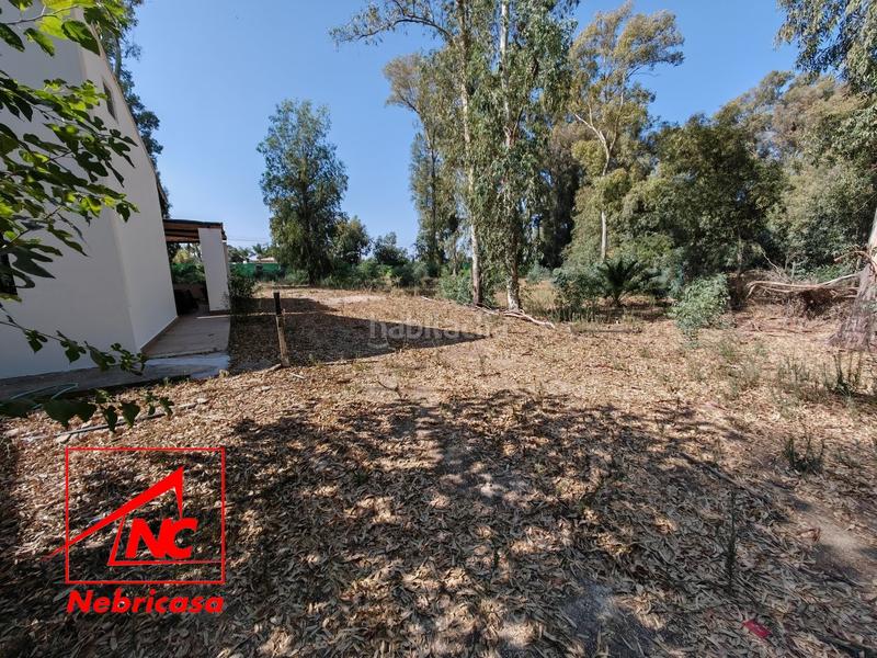 Foto ea9ae472-617d-455e-8619-922b1a8791ee. Casa finca de 4.090 m con vivienda de 200 m rodeada de naturaleza en La Jarase vende amplia finca de 4.090 m con vivienda de 200 m, sit en Sanlúcar de Barrameda