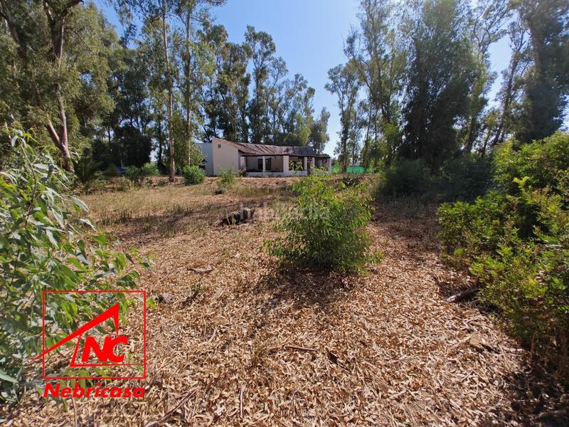 Foto f35b38d3-4ff3-4905-816b-67a456e0fd91. Casa finca de 4.090 m con vivienda de 200 m rodeada de naturaleza en La Jarase vende amplia finca de 4.090 m con vivienda de 200 m, sit en Sanlúcar de Barrameda