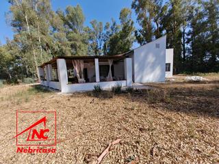 Maison à La Jara. Finca de 4.090 m con vivienda de 200 m rodeada de naturaleza en