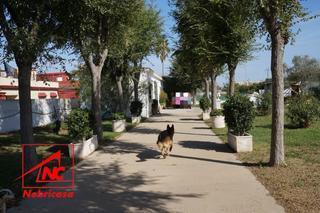 Maison à Las Palmeras-Dehesilla. Parcela de 2.307 m con dos viviendas y múltiples opcionesgran op