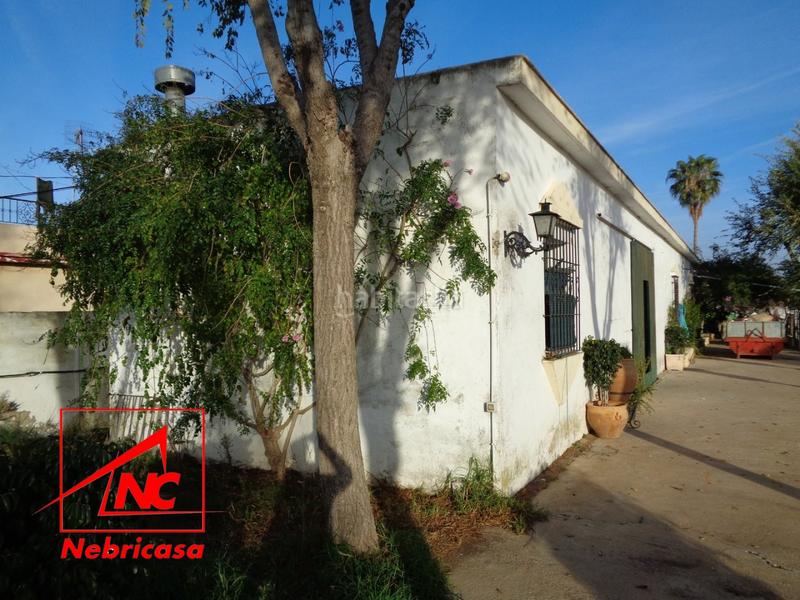 Foto 4081d83e-4894-4a0a-8925-4850e93375a6. Casa parcela de 2.307 m con dos viviendas y múltiples opcionesgran oportunidad para vivir, invertir o combinar vivienda y negocio.parce en Sanlúcar de Barrameda