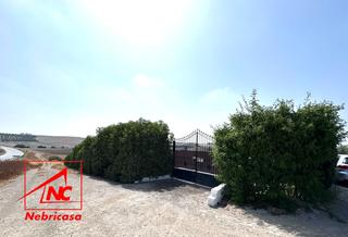 Masía en Lebrija. Oportunidad finca rústica de 14.064 m con vivienda, olivar y múl