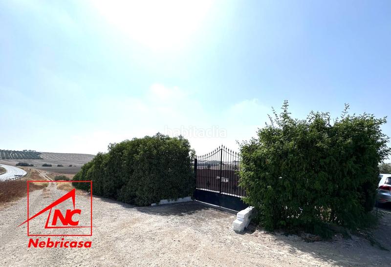 Foto 002128ae-3da8-4834-85ce-c02aca8991f5. Masía oportunidad finca rústica de 14.064 m con vivienda, olivar y múltiples instalaciones a solo 3 minutos del pueblo.se vende esta mag en Lebrija