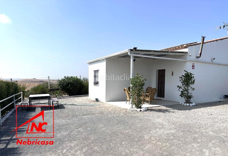Foto 1a5047a9-49b8-4ca4-9fb5-a678ed3618e8. Masía oportunidad finca rústica de 14.064 m con vivienda, olivar y múltiples instalaciones a solo 3 minutos del pueblo.se vende esta mag en Lebrija