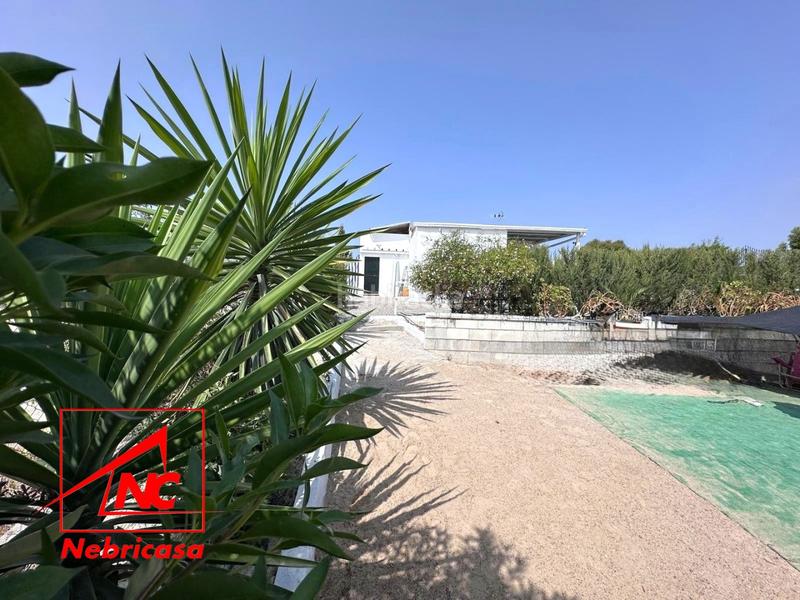 Foto 716da214-7229-474d-a8f8-cfb435c81216. Masía oportunidad finca rústica de 14.064 m con vivienda, olivar y múltiples instalaciones a solo 3 minutos del pueblo.se vende esta mag en Lebrija