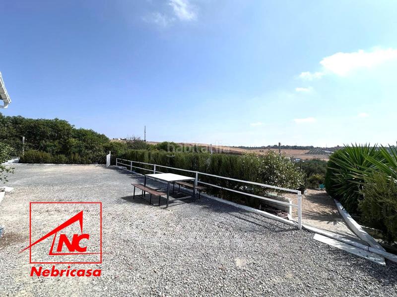 Foto c5a7a818-b380-4b65-8a62-a6ea796cddc9. Masía oportunidad finca rústica de 14.064 m con vivienda, olivar y múltiples instalaciones a solo 3 minutos del pueblo.se vende esta mag en Lebrija