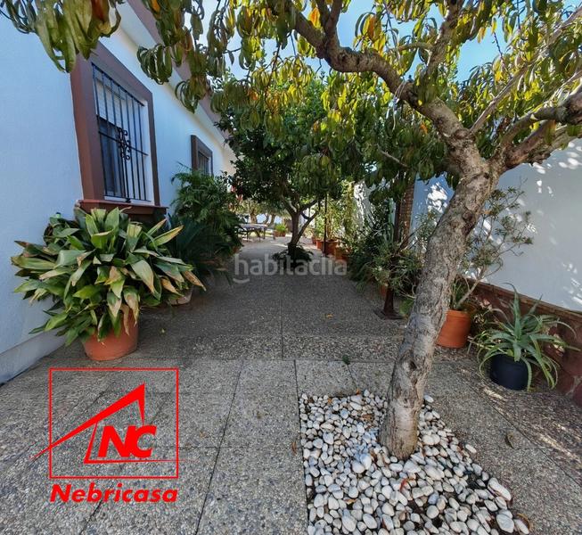 Foto 3b357048-433b-4c06-b6e5-eafe31165f16. Chalet with pool in La Jara Sanlúcar de Barrameda